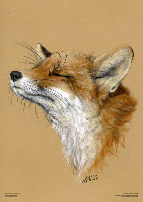 Fuchs "Romina"