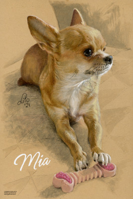 Hund "Mia"