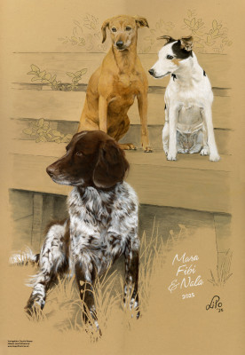 Hundetrio "Mara, Fibi und Nala"